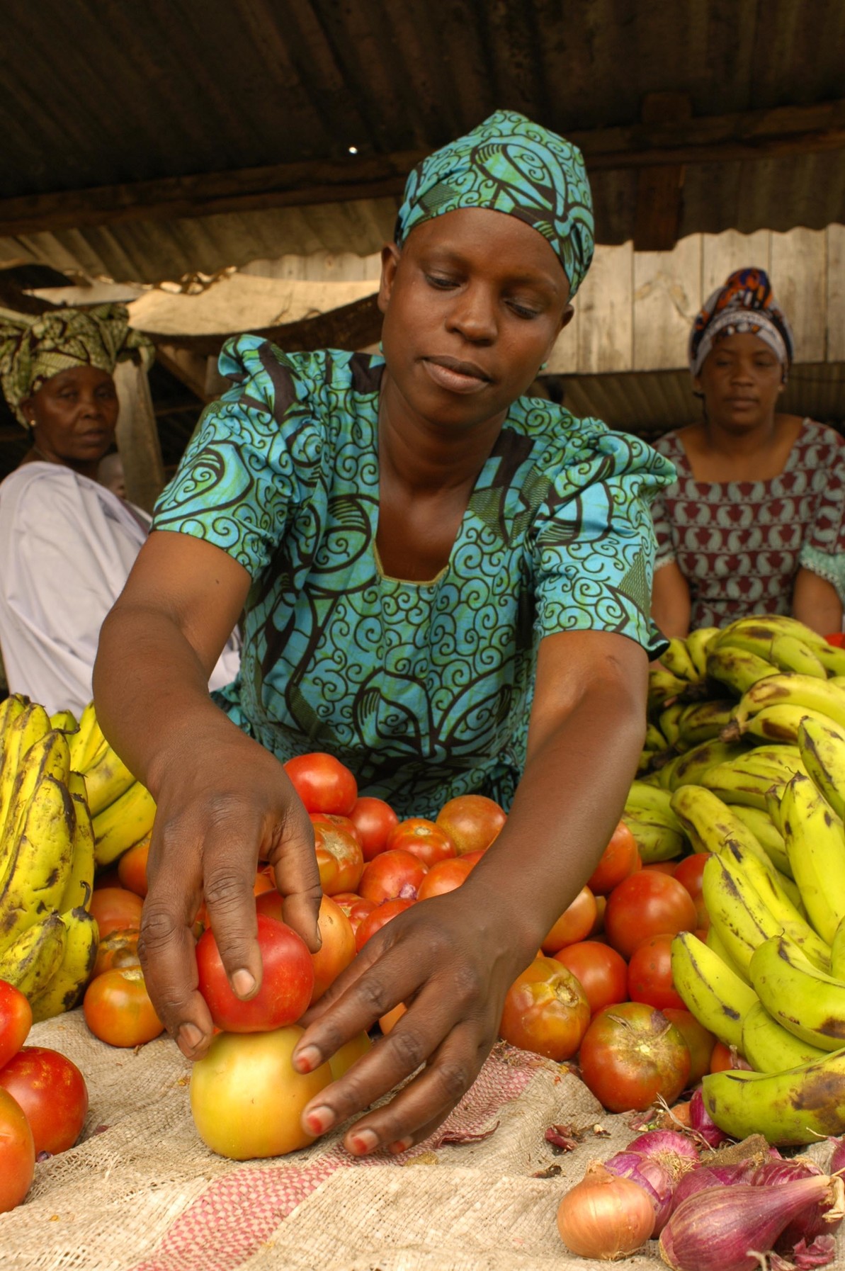 Ministry of Agriculture, Tanzania, and the AATI set to launch the ...